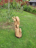 Squirrel with Woodpecker 35 inches £250.00