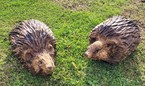Hedgehogs 7 inches tall £50.00 each