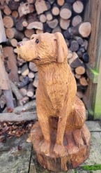 Dog 34 inches £440.00