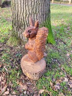 Red Squirrel £230.00