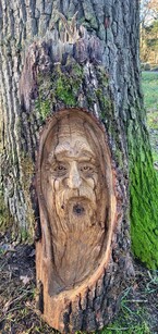 Oak Wood Spirit £230.00
