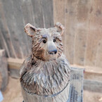 Bear in Log 16 inches £180.00